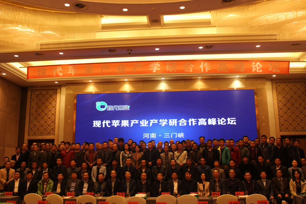 矮化苹果苗,脱毒苹果苗,苹果新品种,苹果苗,新品种苹果苗,苹果苗品种,苹果产业高峰论坛