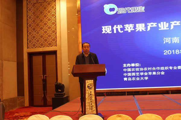 矮化苹果苗,脱毒苹果苗,苹果新品种,苹果苗,新品种苹果苗,苹果苗品种,苹果产业高峰论坛