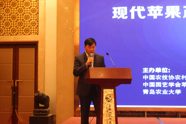 矮化苹果苗,脱毒苹果苗,苹果新品种,苹果苗,新品种苹果苗,苹果苗品种,苹果产业高峰论坛