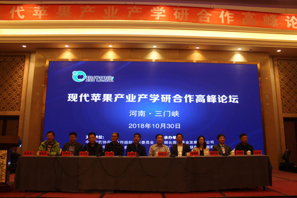 矮化苹果苗,脱毒苹果苗,苹果新品种,苹果苗,新品种苹果苗,苹果苗品种,苹果产业高峰论坛