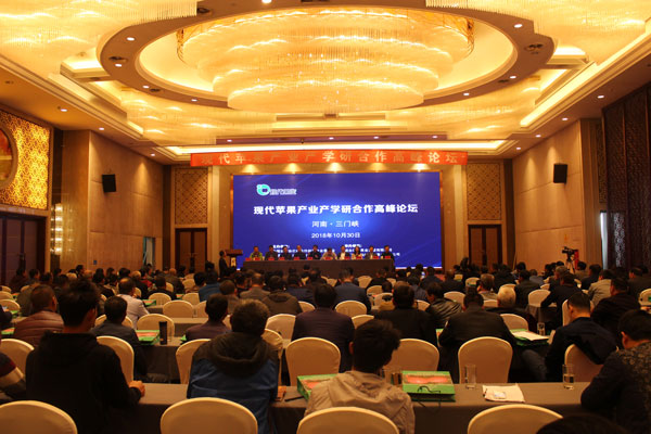 矮化苹果苗,脱毒苹果苗,苹果新品种,苹果苗,新品种苹果苗,苹果苗品种,苹果产业高峰论坛