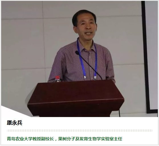 原永兵