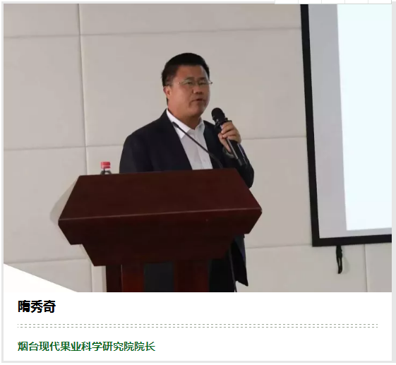 隋秀奇