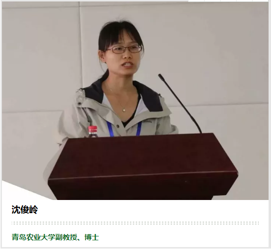 沈俊岭
