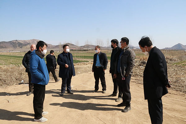 苹果苗,矮化苹果苗,脱毒苹果苗,苹果新品种,烟台苹果苗,苹果苗价格,m26矮化苹果苗,苹果脱毒苗木